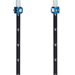 Black Diamond EXPEDITION 2 PRO SKI POLES 0000/No Color