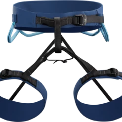 Arc'teryx AR-395a 3270/Poseidon